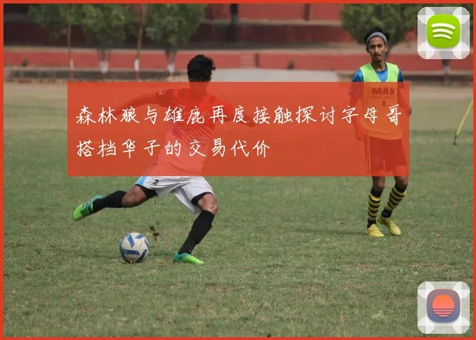 森林狼与雄鹿再度接触探讨字母哥搭档华子的交易代价