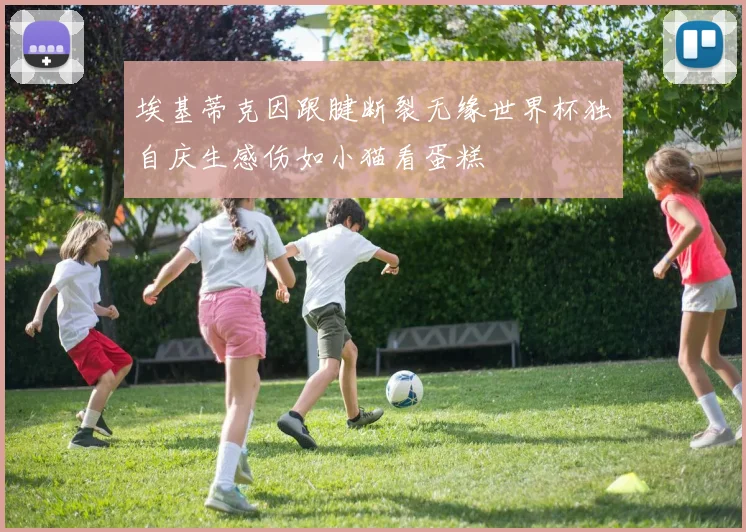 埃基蒂克因跟腱断裂无缘世界杯独自庆生感伤如小猫看蛋糕